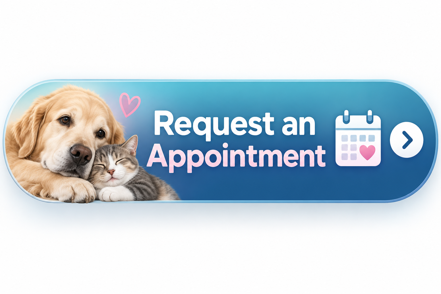Request an in-home pet euthanasia appointment in Toronto and the GTA